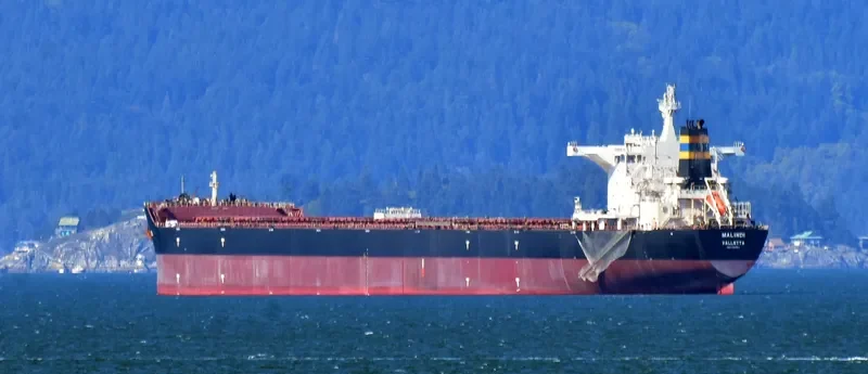 MALINDI Bulk Carrier IMO 9363015 photo 9