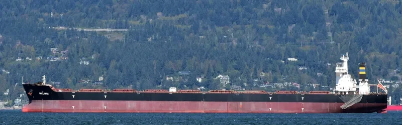 MALINDI Bulk Carrier IMO 9363015 photo 10