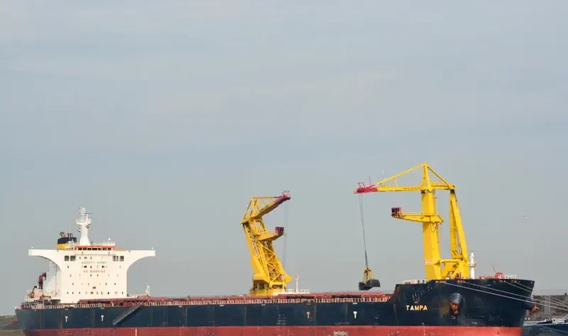 TAMPA Bulk Carrier IMO 9363027 photo 2