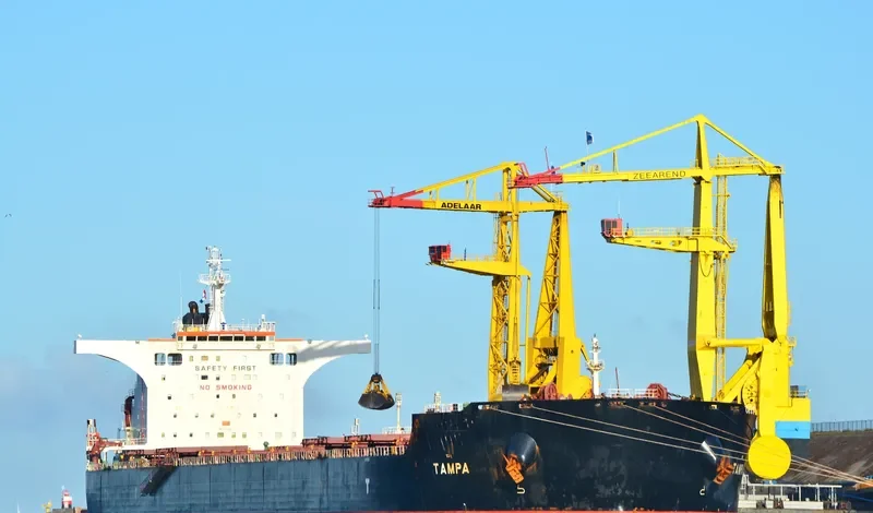 TAMPA Bulk Carrier IMO 9363027 photo 3