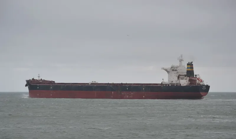 TAMPA Bulk Carrier IMO 9363027 photo 4
