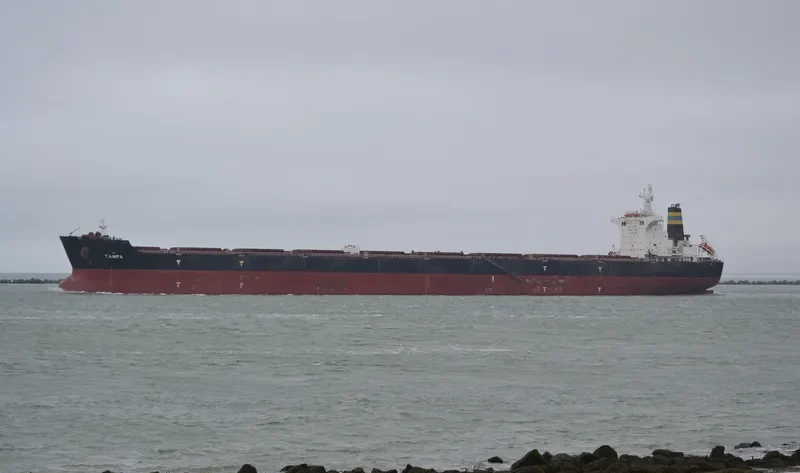 TAMPA Bulk Carrier IMO 9363027 photo 5