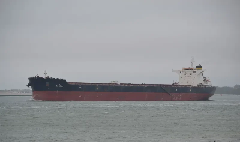 TAMPA Bulk Carrier IMO 9363027 photo 6