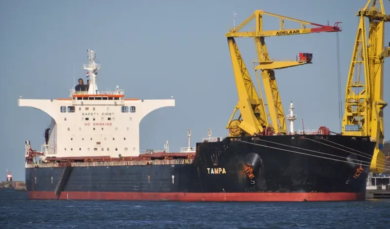 TAMPA Bulk Carrier IMO 9363027 photo 7