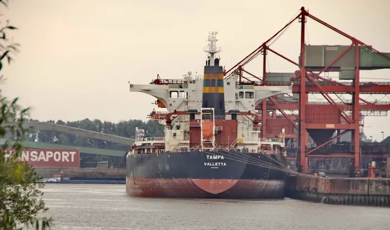 TAMPA Bulk Carrier IMO 9363027 photo 8