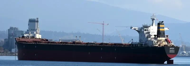 SIVOTA Bulk Carrier IMO 9363039