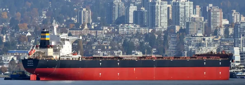 SIVOTA Bulk Carrier IMO 9363039 photo 2