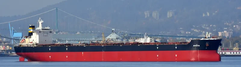 SIVOTA Bulk Carrier IMO 9363039 photo 3