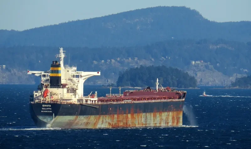 SIVOTA Bulk Carrier IMO 9363039 photo 4