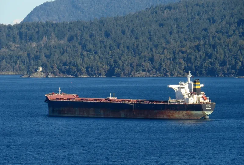 SIVOTA Bulk Carrier IMO 9363039 photo 6