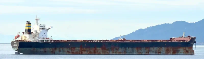 SIVOTA Bulk Carrier IMO 9363039 photo 9