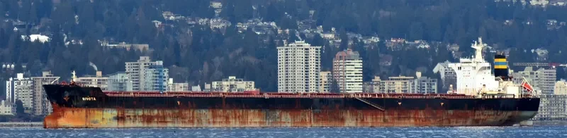SIVOTA Bulk Carrier IMO 9363039 photo 10