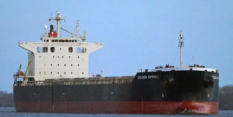 AQUAHOLIC Bulk Carrier IMO 9363089 photo 5