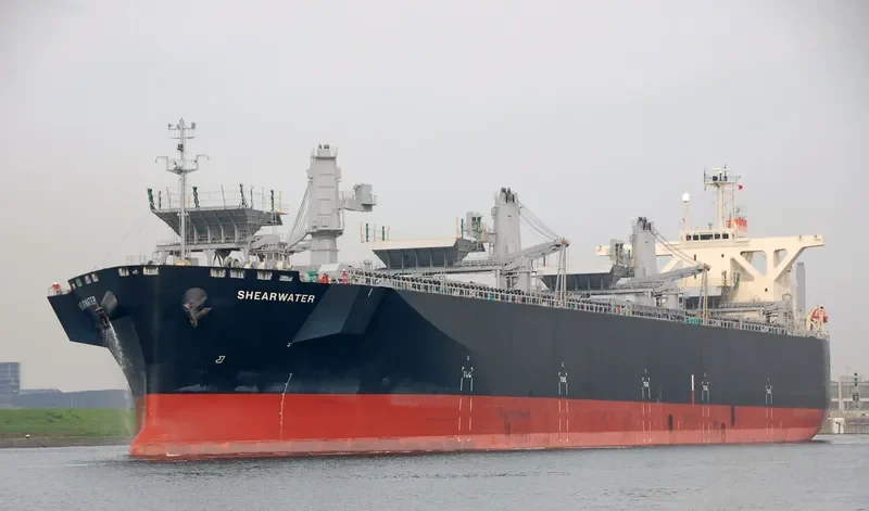 SHEARWATER Bulk Carrier IMO 9363091 photo 3