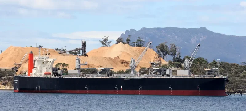 SHEARWATER Bulk Carrier IMO 9363091 photo 4