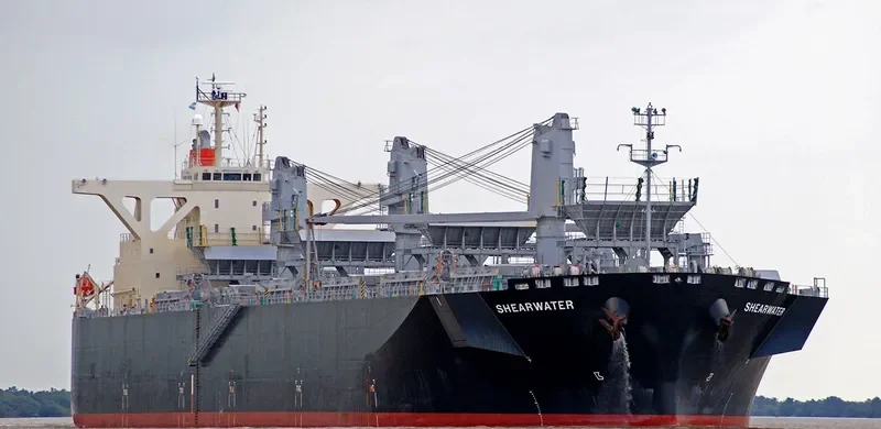 SHEARWATER Bulk Carrier IMO 9363091 photo 8