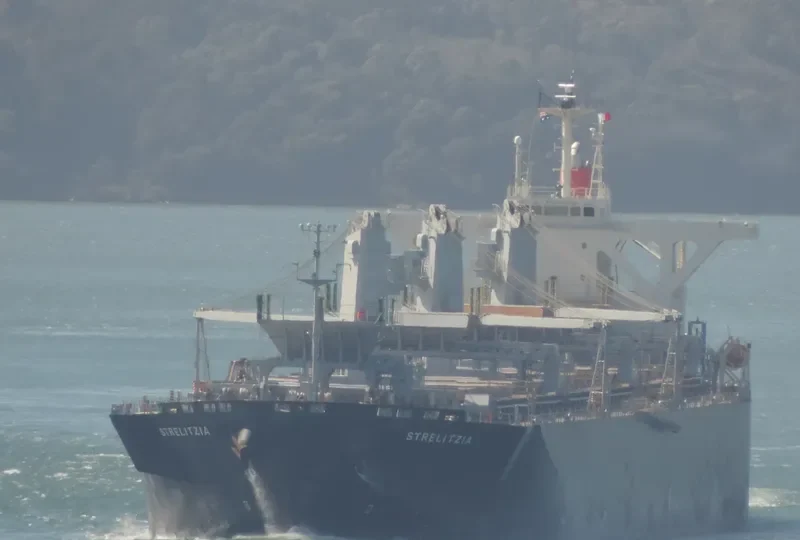 STRELITZIA Bulk Carrier IMO 9363120 photo 2