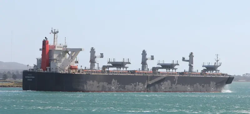 STRELITZIA Bulk Carrier IMO 9363120 photo 4