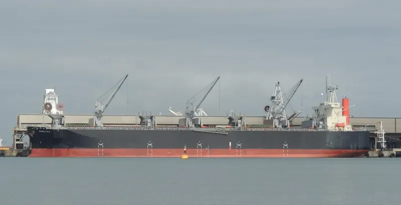 STRELITZIA Bulk Carrier IMO 9363120 photo 5