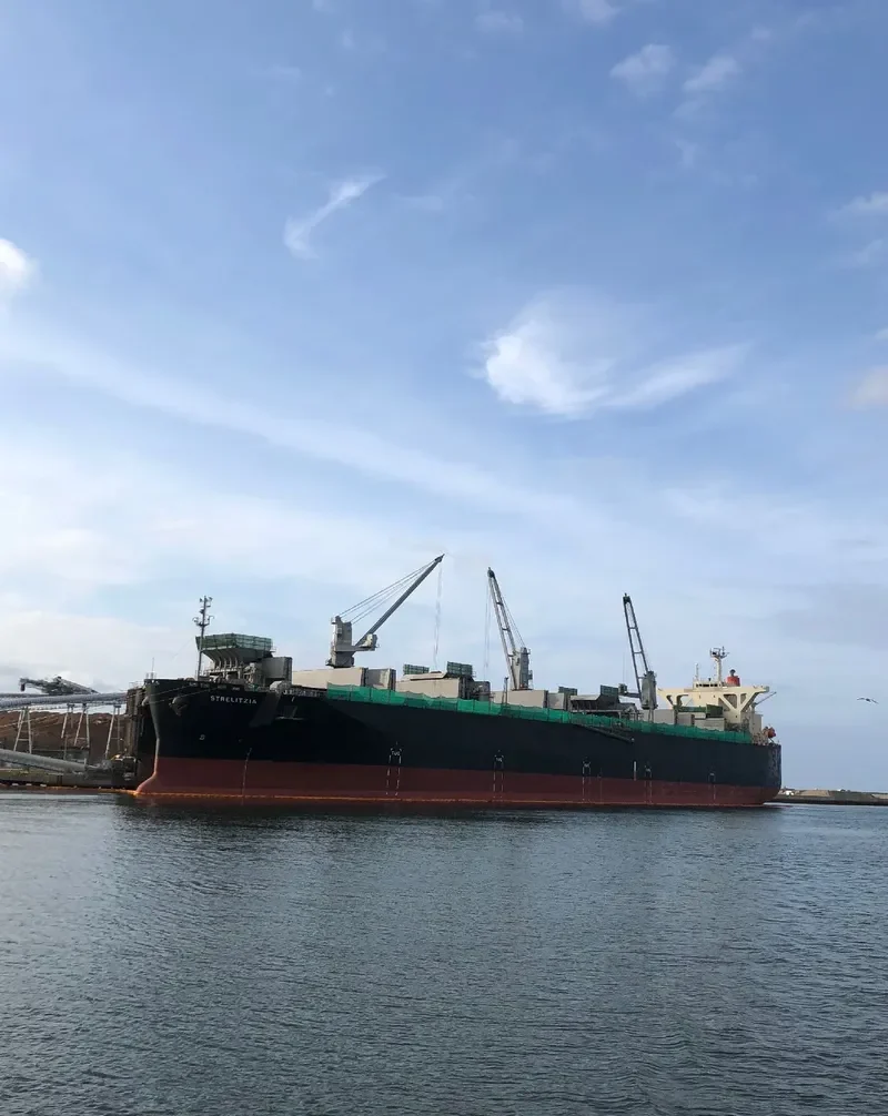 STRELITZIA Bulk Carrier IMO 9363120 photo 6