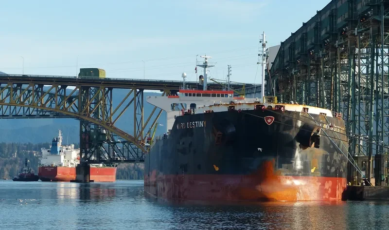 IOLE R Bulk Carrier IMO 9363132
