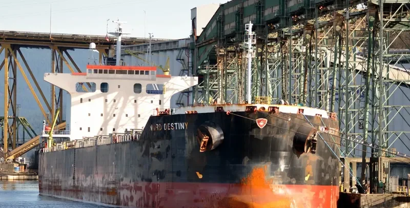 IOLE R Bulk Carrier IMO 9363132 photo 3