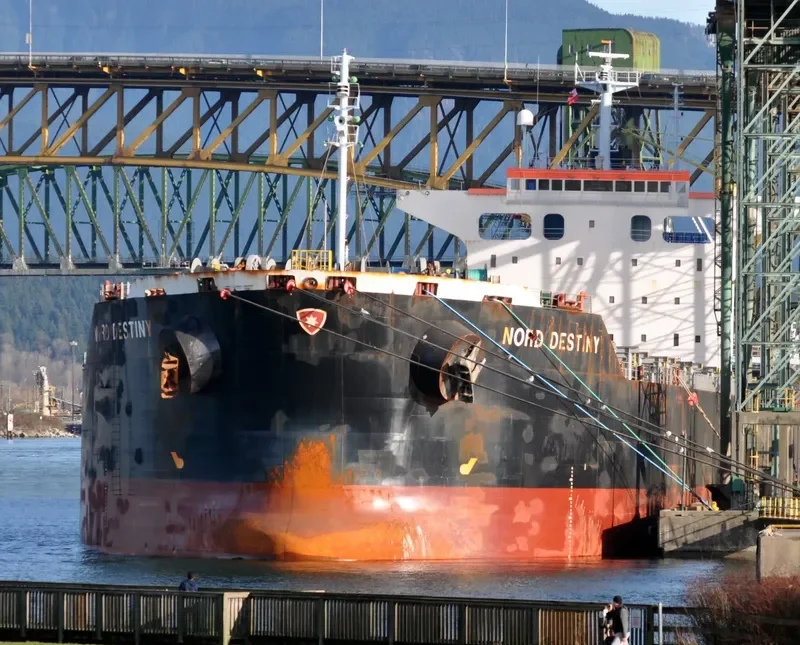 IOLE R Bulk Carrier IMO 9363132 photo 4