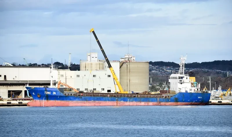 TONG DA Bulk Carrier IMO 9363261 photo 6