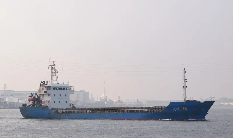 TONG DA Bulk Carrier IMO 9363261 photo 8