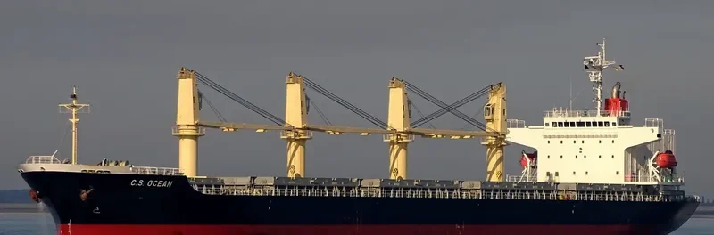 IONIAN SPIRE General Cargo IMO 9363273 photo 5