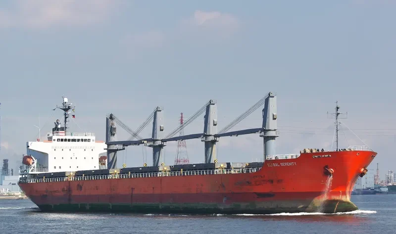 GLOBAL SERENITY General Cargo IMO 9363302 photo 6