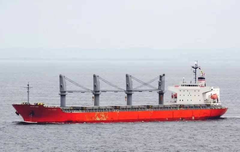 GLOBAL SERENITY General Cargo IMO 9363302 photo 7