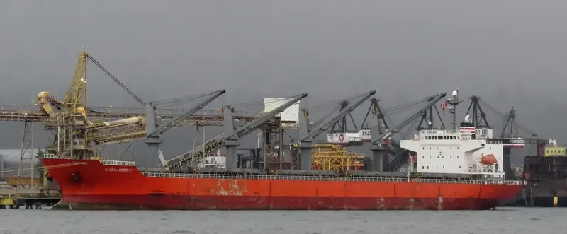 GLOBAL SERENITY General Cargo IMO 9363302 photo 8