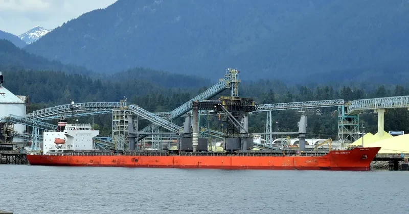 GLOBAL SERENITY General Cargo IMO 9363302 photo 9