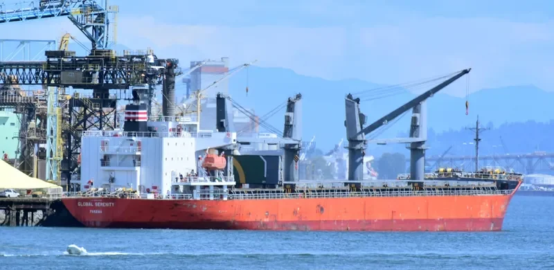 GLOBAL SERENITY General Cargo IMO 9363302 photo 10