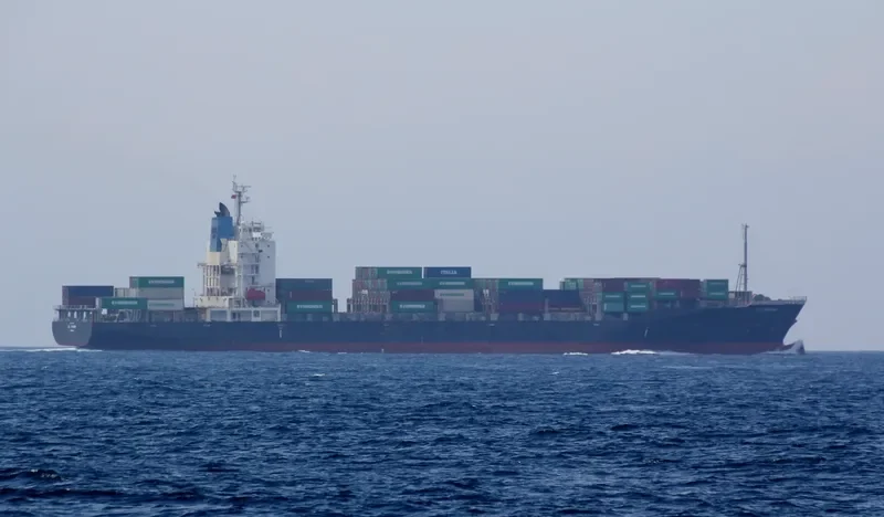 LEO PERDANA Container Ship IMO 9363390