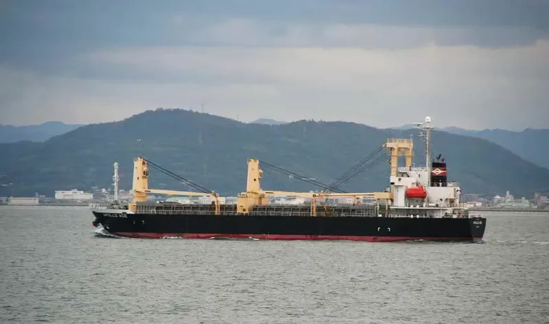 APOLLO ACE General Cargo IMO 9363431 photo 10