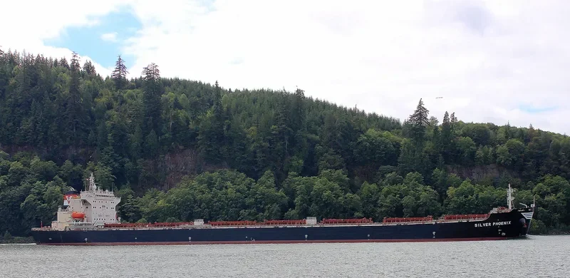 MANALAGI PRITA Bulk Carrier IMO 9363455 photo 5