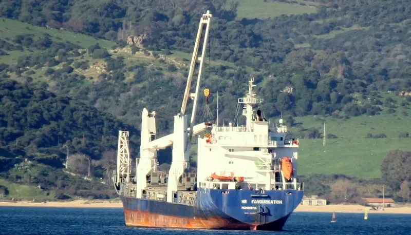 LILY AUERBACH General Cargo IMO 9363546 photo 9