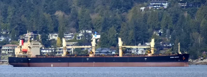 DUBAI KNIGHT Bulk Carrier IMO 9363625 photo 3