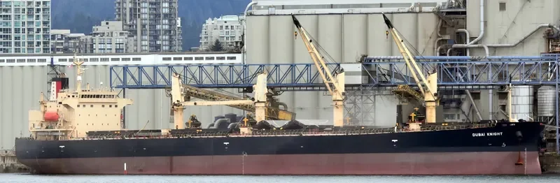 DUBAI KNIGHT Bulk Carrier IMO 9363625 photo 4