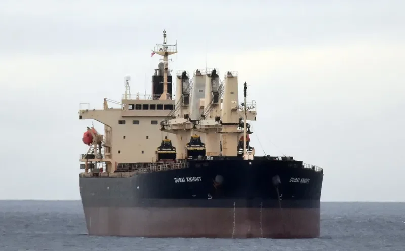 DUBAI KNIGHT Bulk Carrier IMO 9363625 photo 5