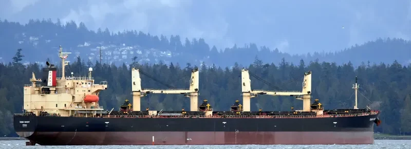 DUBAI KNIGHT Bulk Carrier IMO 9363625 photo 6