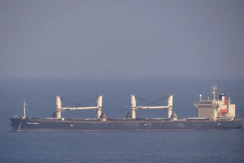 DUBAI KNIGHT Bulk Carrier IMO 9363625 photo 10