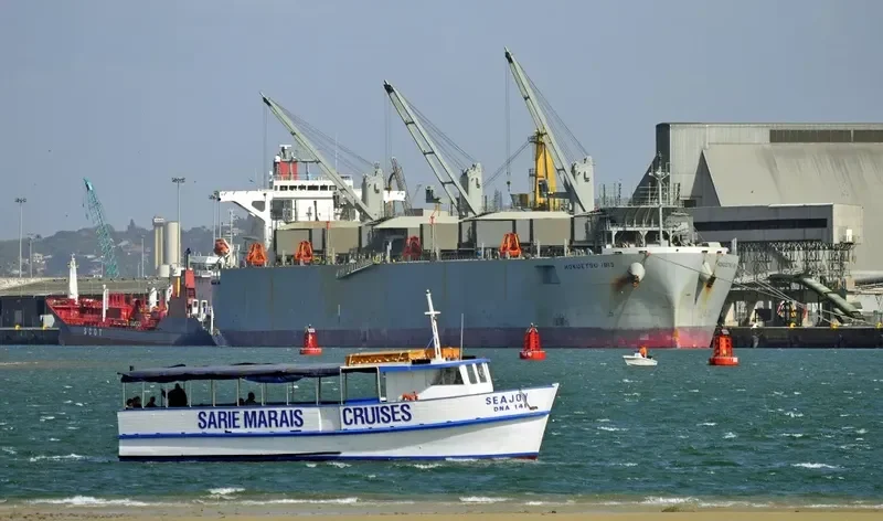 HOKUETSU IBIS Bulk Carrier IMO 9363651