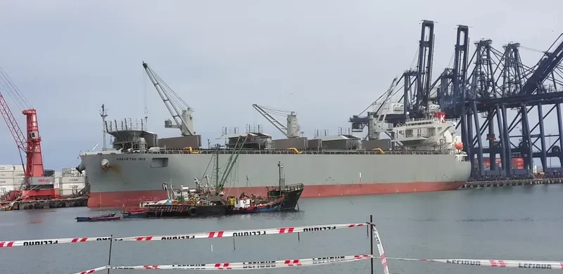 HOKUETSU IBIS Bulk Carrier IMO 9363651 photo 3