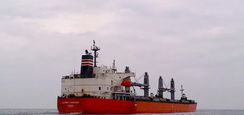 RIVER PEARL Bulk Carrier IMO 9363663