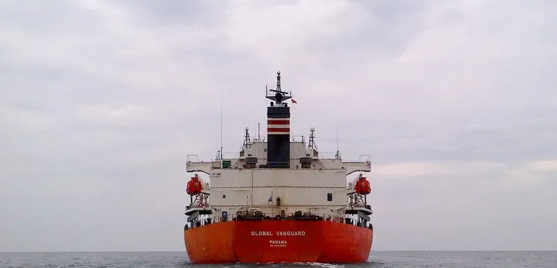 RIVER PEARL Bulk Carrier IMO 9363663 photo 2
