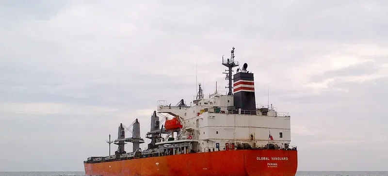 RIVER PEARL Bulk Carrier IMO 9363663 photo 3