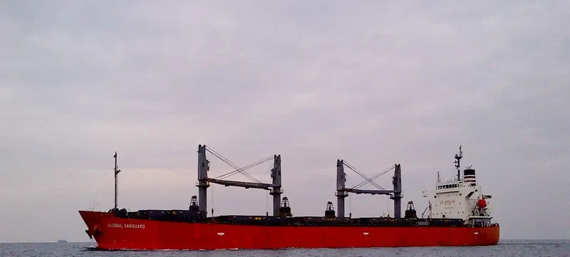 RIVER PEARL Bulk Carrier IMO 9363663 photo 4